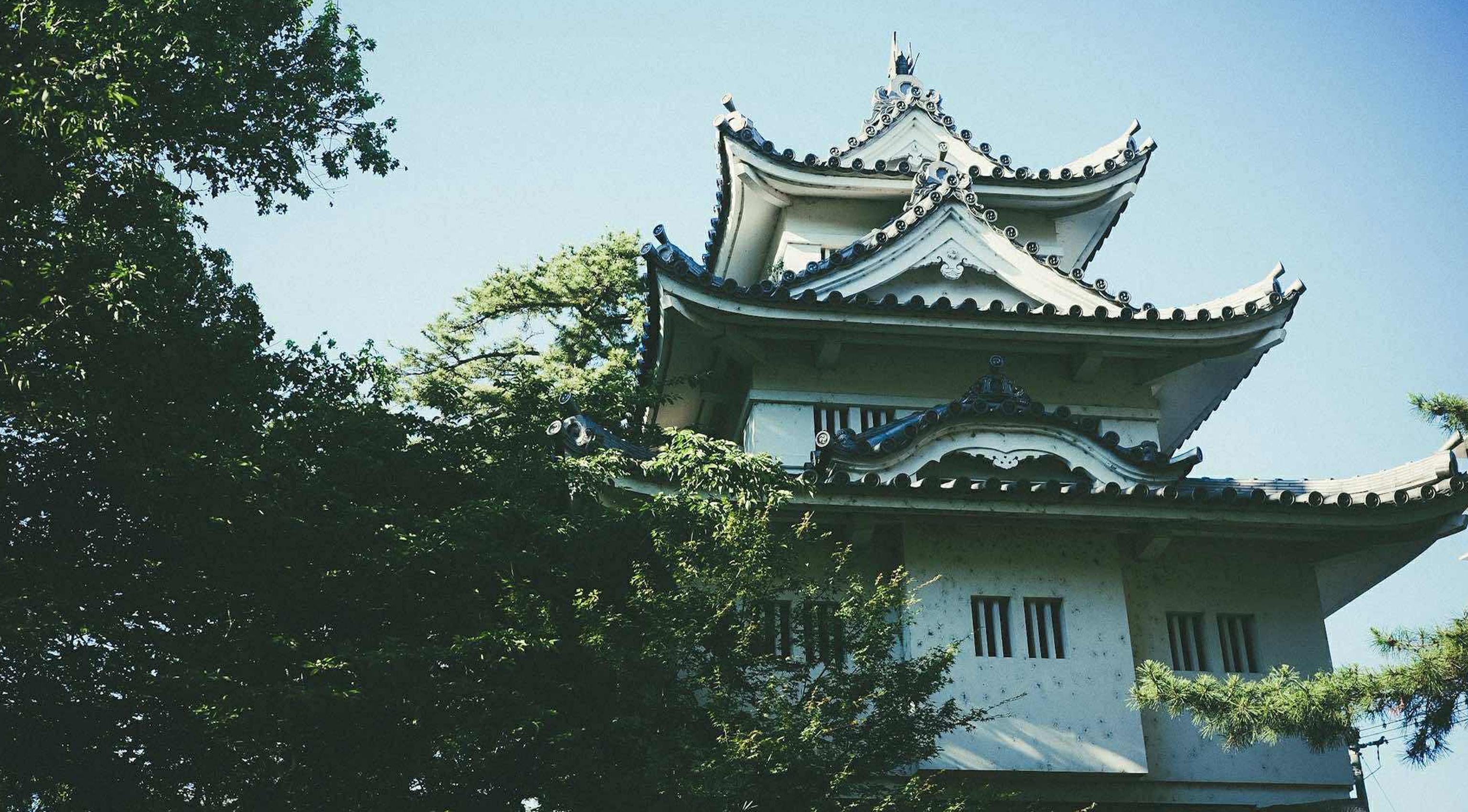 ヘッダービジュアル